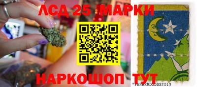 мяу мяу мука Гатчина