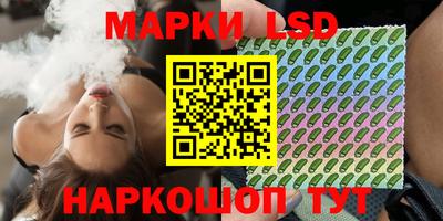индика Гагарин