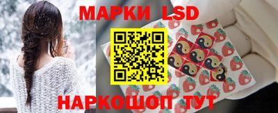 индика Гагарин