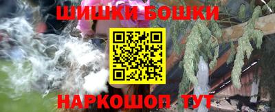 индика Гагарин