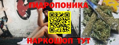 индика Гагарин