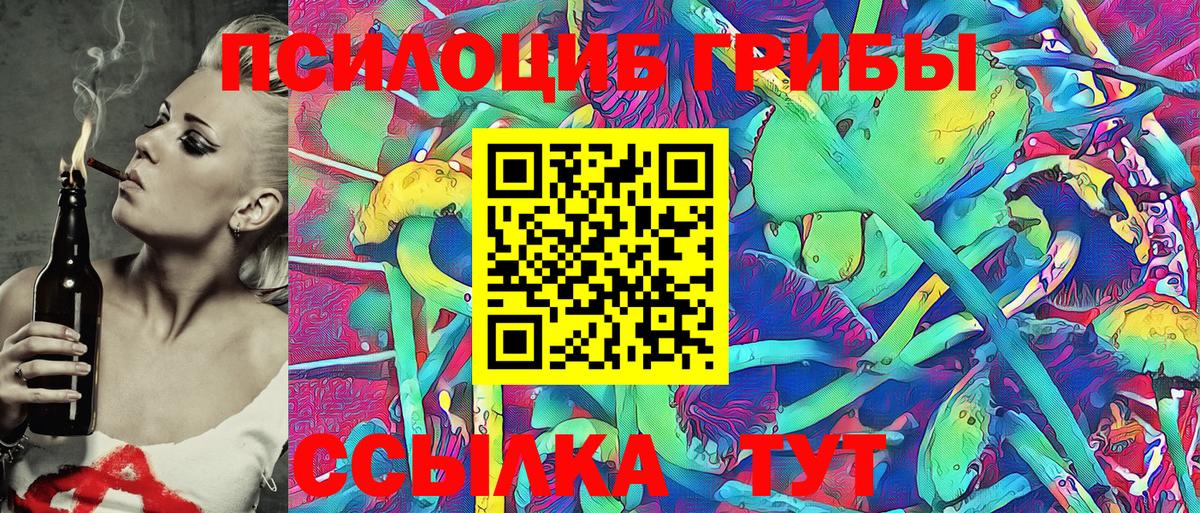Галлюциногенные грибы Cubensis  цена   Мирный  Вход с VPN 