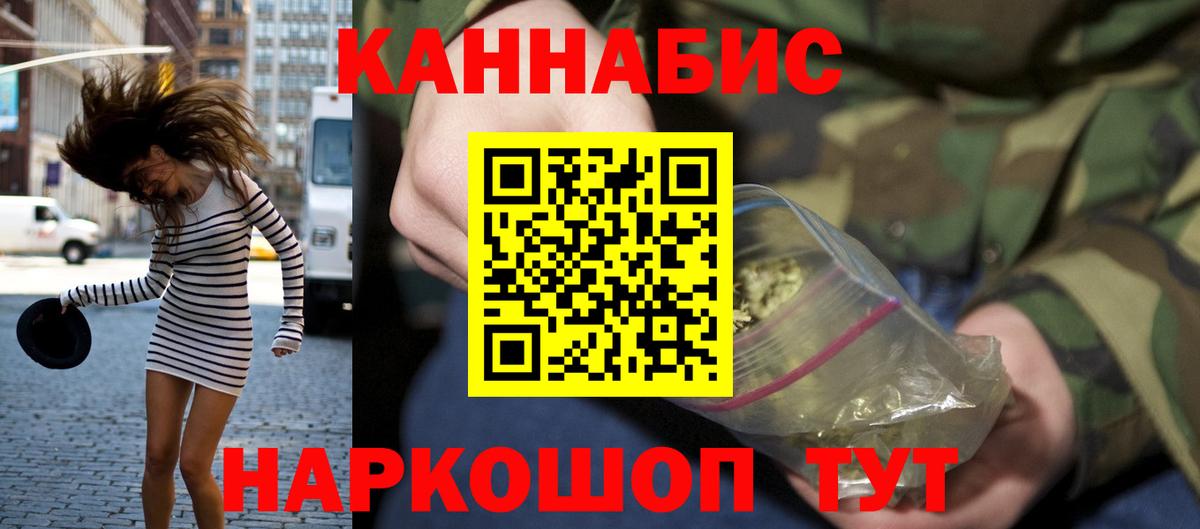 Бошки Шишки планчик Мирный